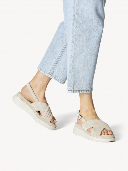 ����� ������ �������� ���.