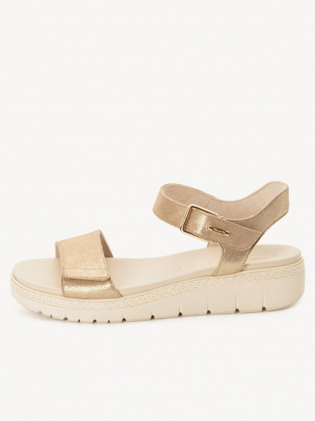 ������� �������� ����������� ����