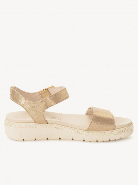 ������� �������� ����������� ����