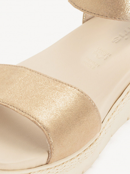 ������� �������� ����������� ����