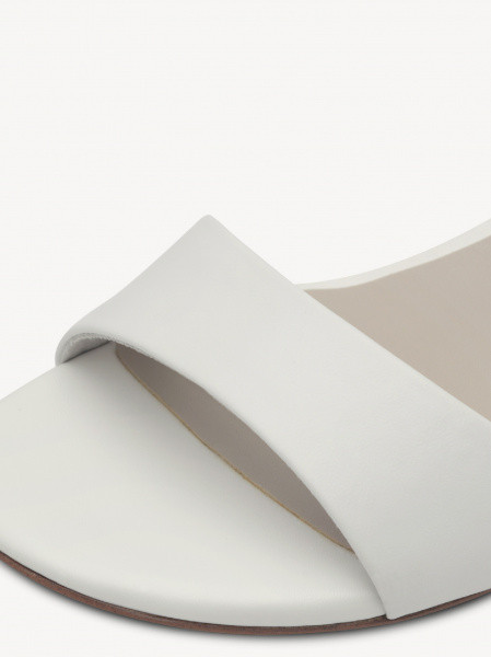 ������� ��������� ����������� ����