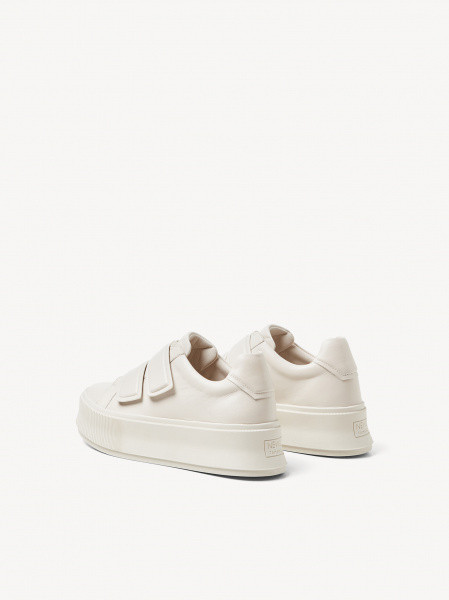���� ������� Premium