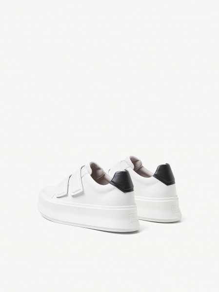���� ������� Premium