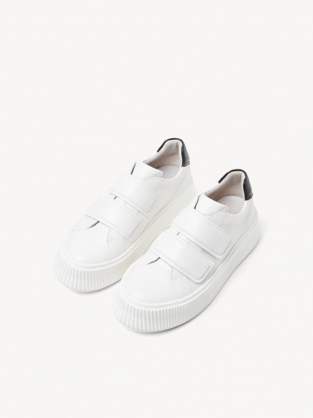 ���� ������� Premium
