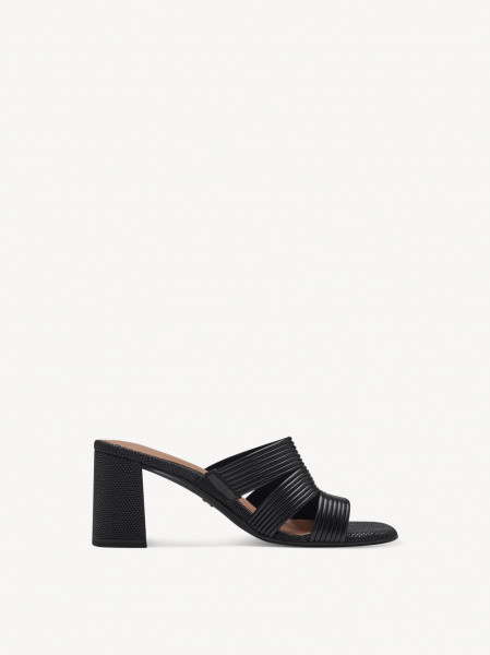 ���� �������