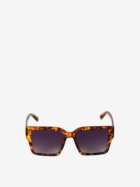 �������������� ����