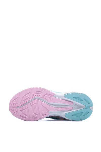    Anta