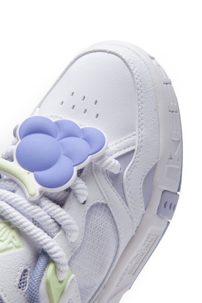  Anta