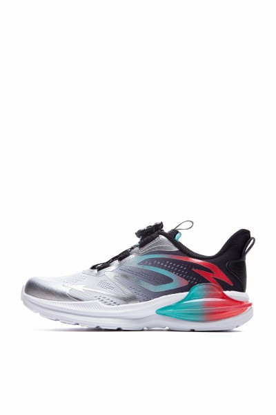    Anta