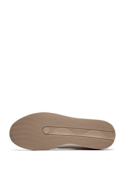   ANTA