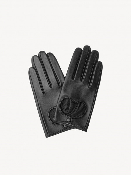 ��������