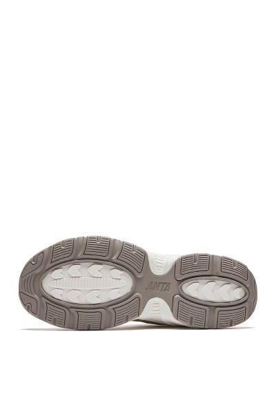 ��������� ������������ ���������� ANTA Meteorolite