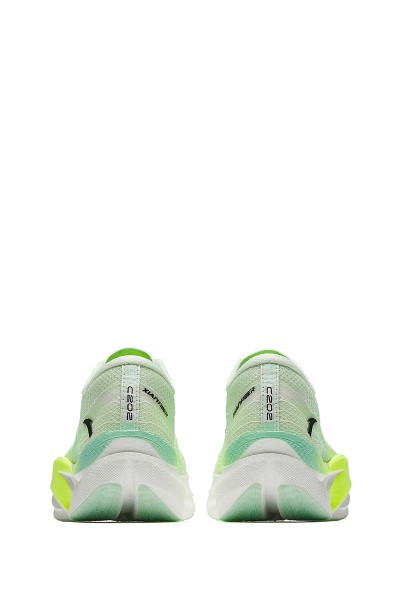    Anta C202 6