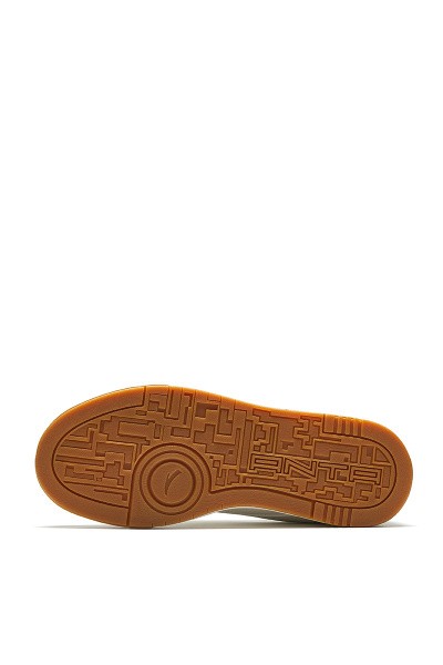  ANTA BASIC
