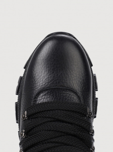 ������� ��������� ����������� ����