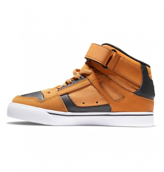 .//  /    Pure High-Top EV