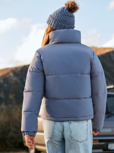  winterebel (bqy0)