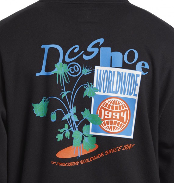 ��������� � ��������� Transfer