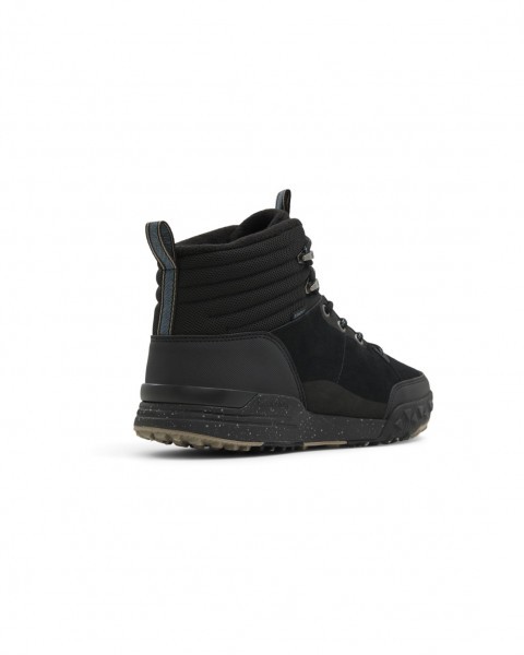 .// /      Donnelly Elite