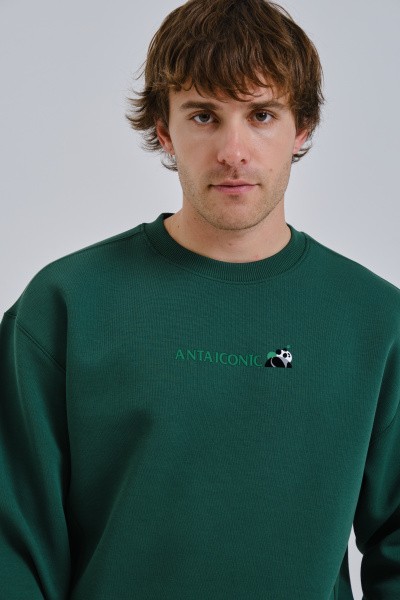 ������� ICONIC