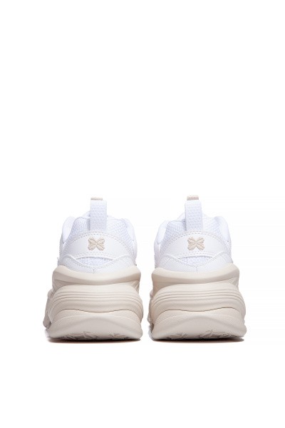 ������������ ��������� Anta NUT