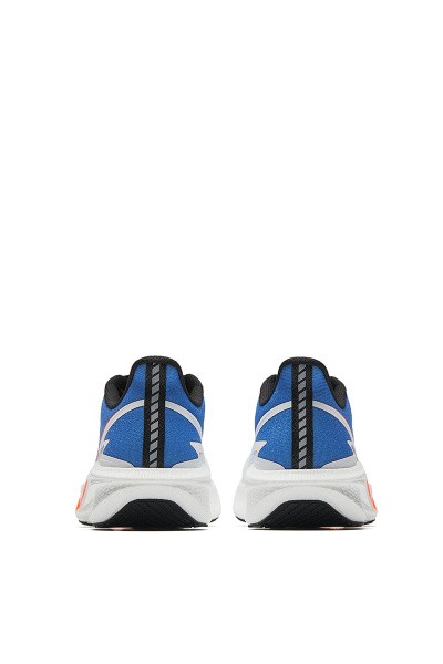   MACH V
