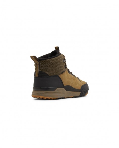 .// /      Donnelly Elite