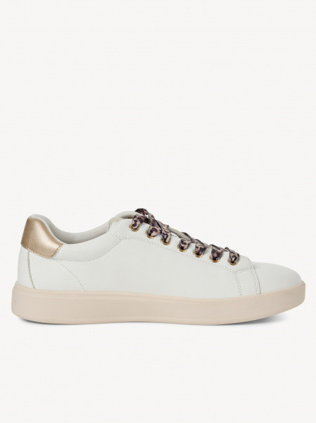 ������� ���� ������������� ����