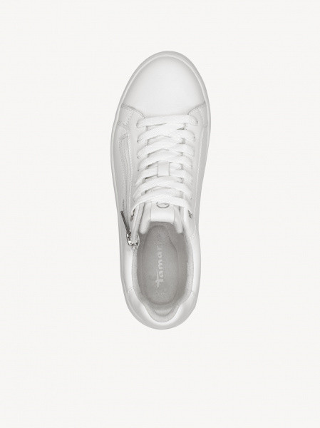 ������� ���� ����������� ����