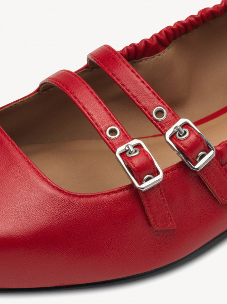 ������� ������� ����������� ���� Premium