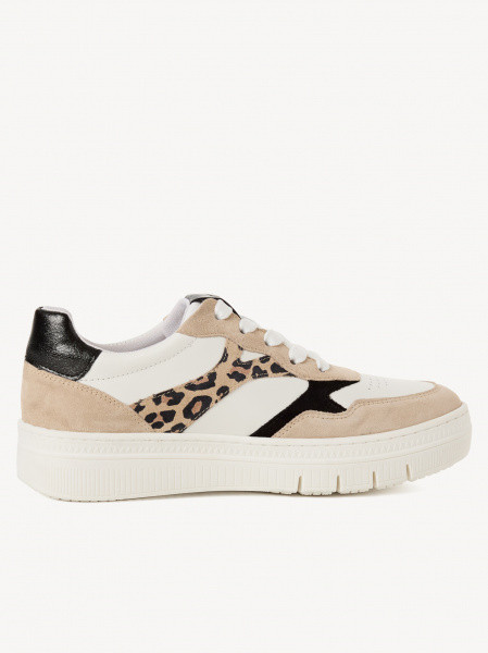 ������� ���� ����������� ����