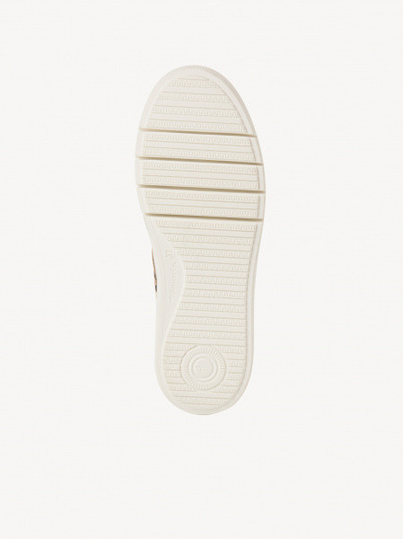 ������� ���� ����������� ����