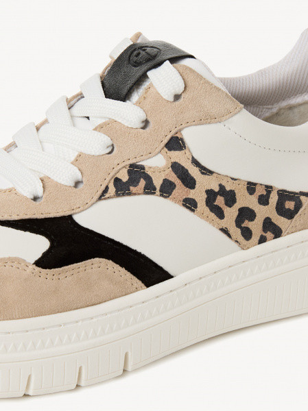 ������� ���� ����������� ����