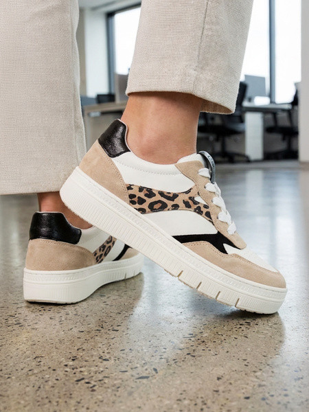 ������� ���� ����������� ����