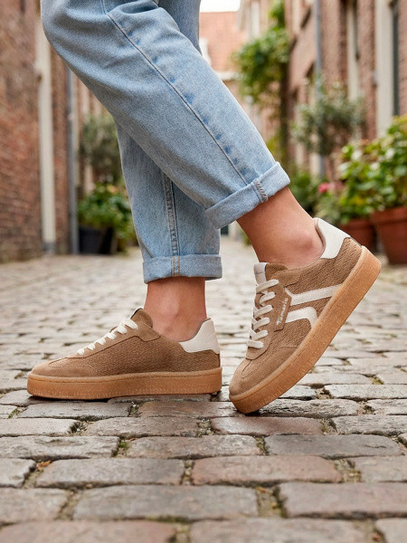 ������� ���� ����������� ����