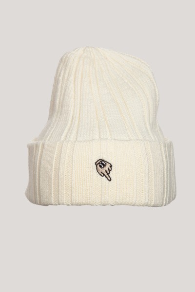 ����� ANTA Beanie