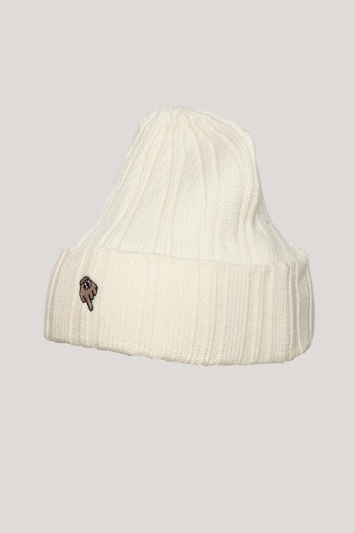 ����� ANTA Beanie