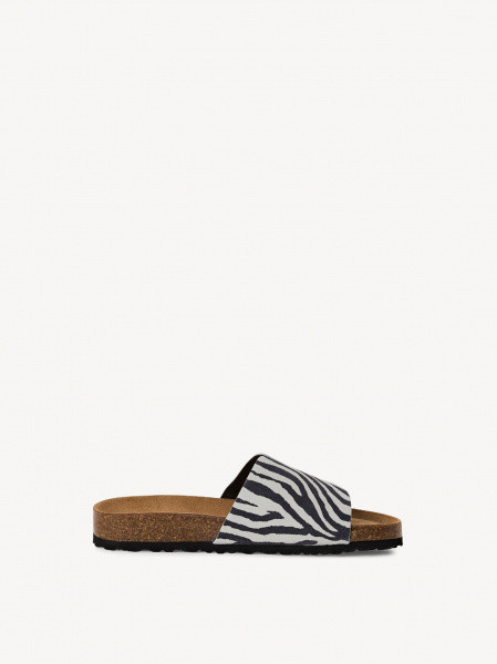 ������� �������� ����������� ����