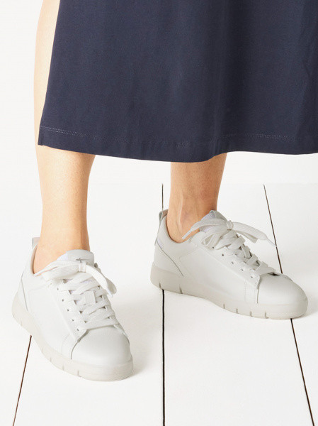 ������� ���� ����������� ����