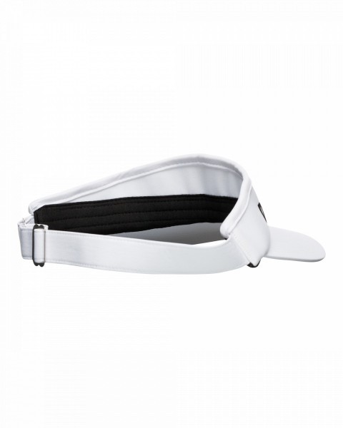 - links visor