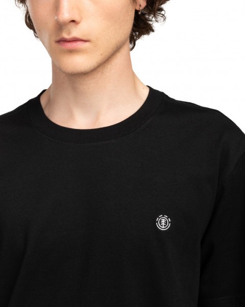 .//  /   Crail SS