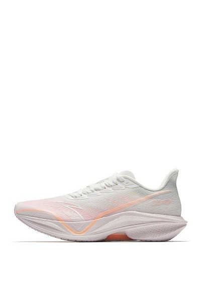    ANTA MACH V