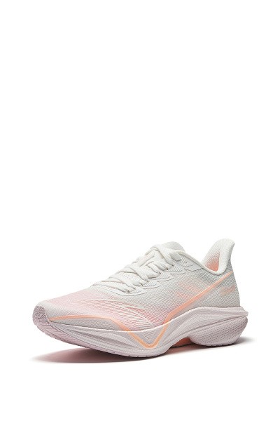    ANTA MACH V