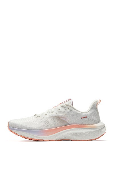    ANTA MACH V