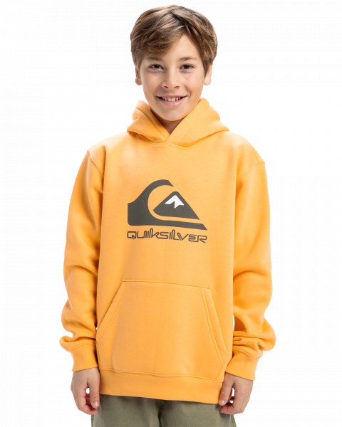  big logo hoodie youth