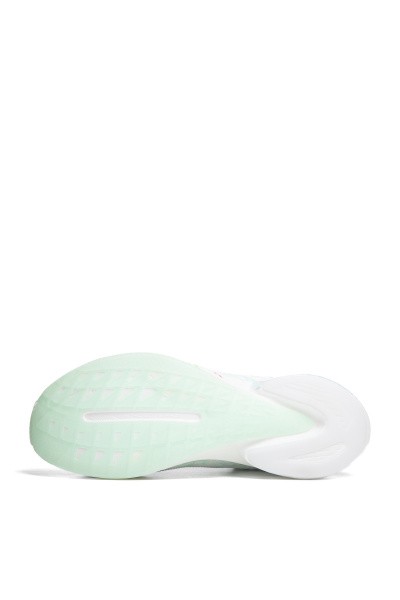    ANTA MACH 4 PRO V2
