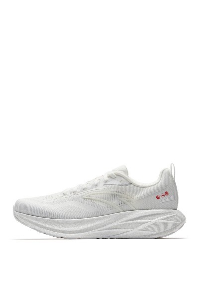    ANTA GAZELLE