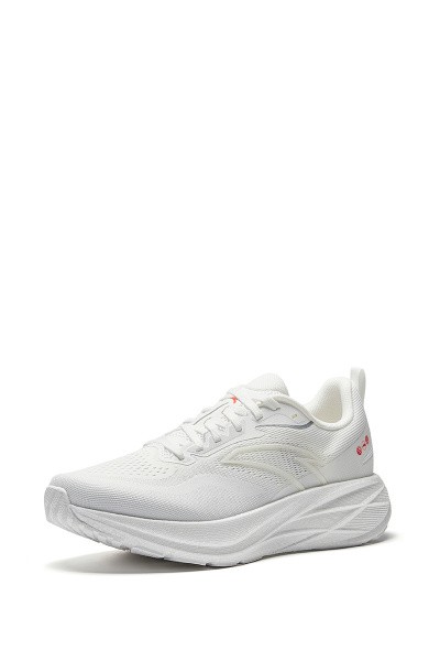    ANTA GAZELLE