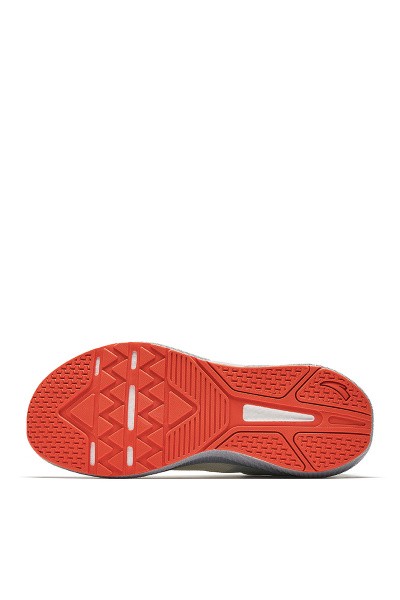    ANTA TRAINER