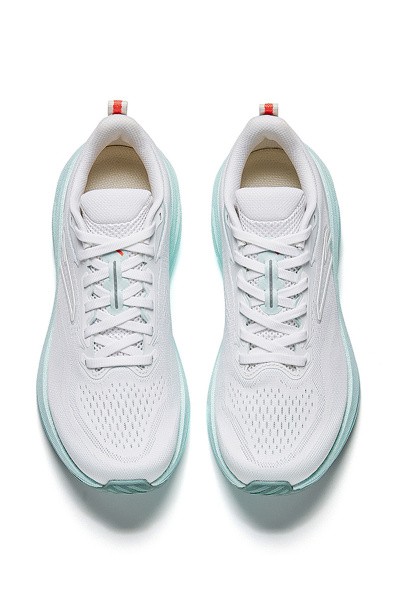    ANTA GAZELLE